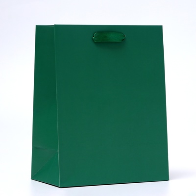 Пакет подарочный ламинированный «Зелёный», 18×23×10 см МИКС