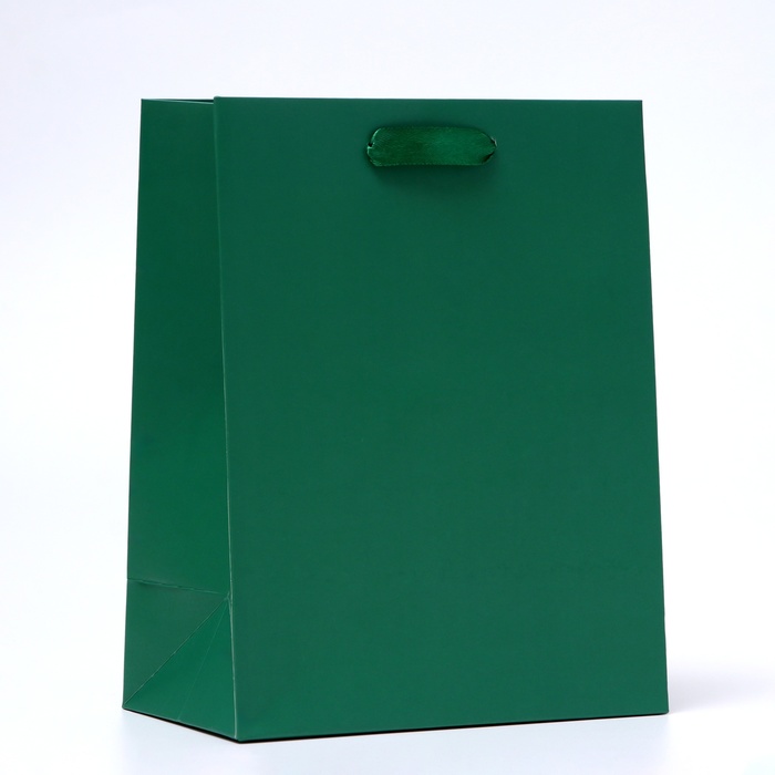 Пакет подарочный ламинированный «Зелёный», 18×23×10 см МИКС - Фото 1