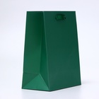 Пакет подарочный ламинированный «Зелёный», 18×23×10 см МИКС - Фото 3