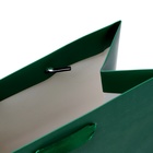 Пакет подарочный ламинированный «Зелёный», 18×23×10 см МИКС - Фото 4