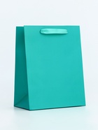 Пакет подарочный ламинированный «Зелёный», 18×23×10 см МИКС - Фото 5