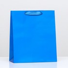 Пакет ламинированный «Синий», 23 х 27 х 11,5 см - фото 319681256
