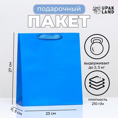 Пакет подарочный ламинированный «Синий», 23×27×11.5 см