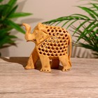 Сувенир "Слон" дерево кадам 10х4х11 см - фото 25380744