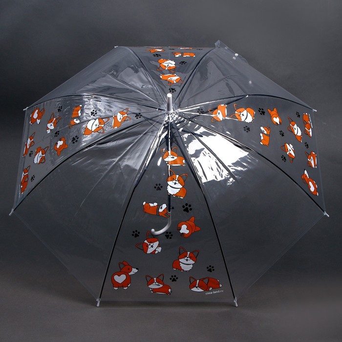Зонт детский «Корги» полуавтомат, прозрачный, d=90см - фото 1906345918