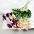 Букет "Гербера ранняя" 3х28 см, микс (комплект 2 шт) - фото 35954935