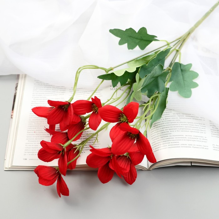 

Букет "Фрезия" 4х29 см, микс