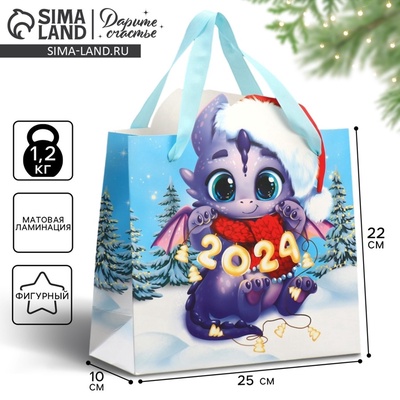 Пакет подарочный новогодний «Дракоша», 25×26.5×10 см