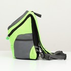 Рюкзак-переноска для животных, максимальный вес 10 кг, 30 х 16 х 34 см, зелёный - Фото 2