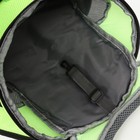 Рюкзак-переноска для животных, максимальный вес 10 кг, 30 х 16 х 34 см, зелёный - Фото 12