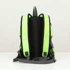 Рюкзак-переноска для животных, максимальный вес 10 кг, 30 х 16 х 34 см, зелёный - Фото 3