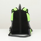 Рюкзак-переноска для животных, максимальный вес 10 кг, 30 х 16 х 34 см, зелёный - Фото 4