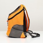 Рюкзак-переноска для животных, максимальный вес 16 кг, 36 х 21 х 45 см, оранжевый - Фото 2