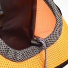 Рюкзак-переноска для животных, максимальный вес 16 кг, 36 х 21 х 45 см, оранжевый - Фото 11