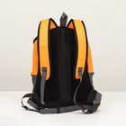 Рюкзак-переноска для животных, максимальный вес 16 кг, 36 х 21 х 45 см, оранжевый - Фото 3