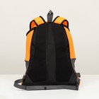 Рюкзак-переноска для животных, максимальный вес 16 кг, 36 х 21 х 45 см, оранжевый - Фото 4