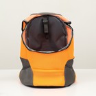 Рюкзак-переноска для животных, максимальный вес 16 кг, 36 х 21 х 45 см, оранжевый - Фото 5