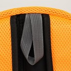 Рюкзак-переноска для животных, максимальный вес 16 кг, 36 х 21 х 45 см, оранжевый - Фото 6
