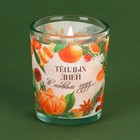 Новогодняя свеча в стакане «Теплых дней», аромат мандарин - Фото 1