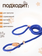 Ринговка для собак, 150×1.2 см, синяя - Фото 2