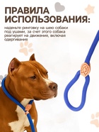 Ринговка для собак, 150×1.2 см, синяя - Фото 3