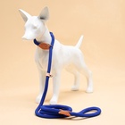 Ринговка для собак, 150×1.2 см, синяя - Фото 7