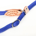 Ринговка для собак, 150×1.2 см, синяя - Фото 10