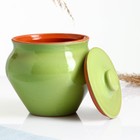 Горшочек под жаркое с крышкой "Вятский" 0,5л, салатовый - фото 35256095