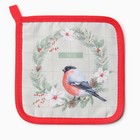 Набор кухонный «Доляна. Снегирь»: варежка 20×28 см, прихватка 17×17 см, 35% хлопок, 65% п/э - фото 45458351
