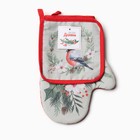 Набор кухонный «Доляна. Снегирь»: варежка 20×28 см, прихватка 17×17 см, 35% хлопок, 65% п/э - фото 45458353