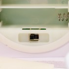 Ночник «Цветы» LED от батареек 3хААА USB зеленый 10×10×23 см RISALUX - Фото 6