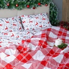 КПБ LoveLife 1,5сп "Лапландия" 143*215см,150*225см,50*70см-2шт,100%хлопок,сатин - фото 809300318