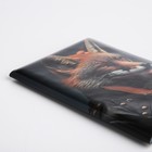 Обложка для паспорта, цвет чёрный (комплект 2 шт) - фото 24342527