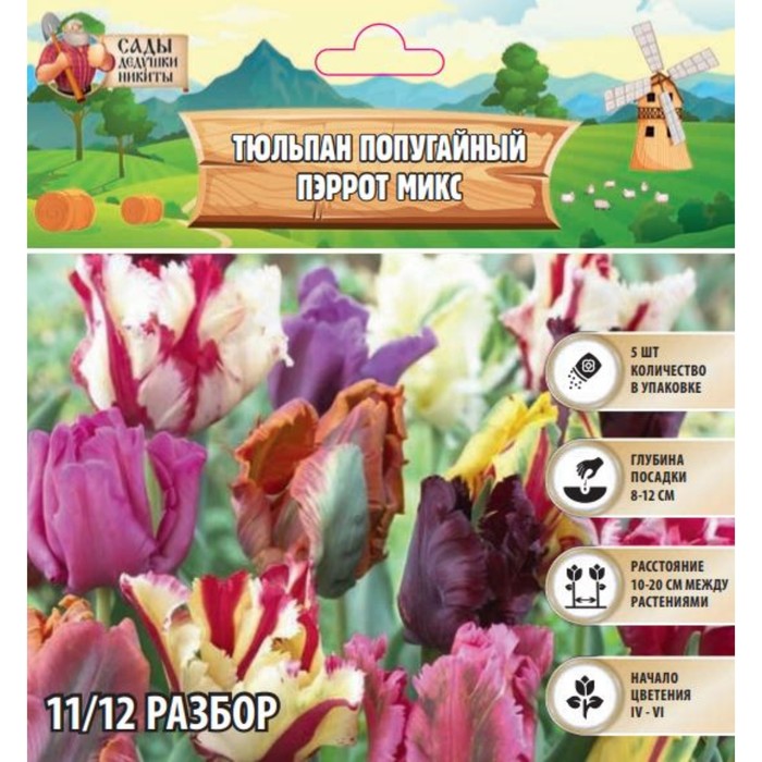 

Тюльпан попугайный Пэррот микс, р-р 11/12, 5 шт, Осень 2024