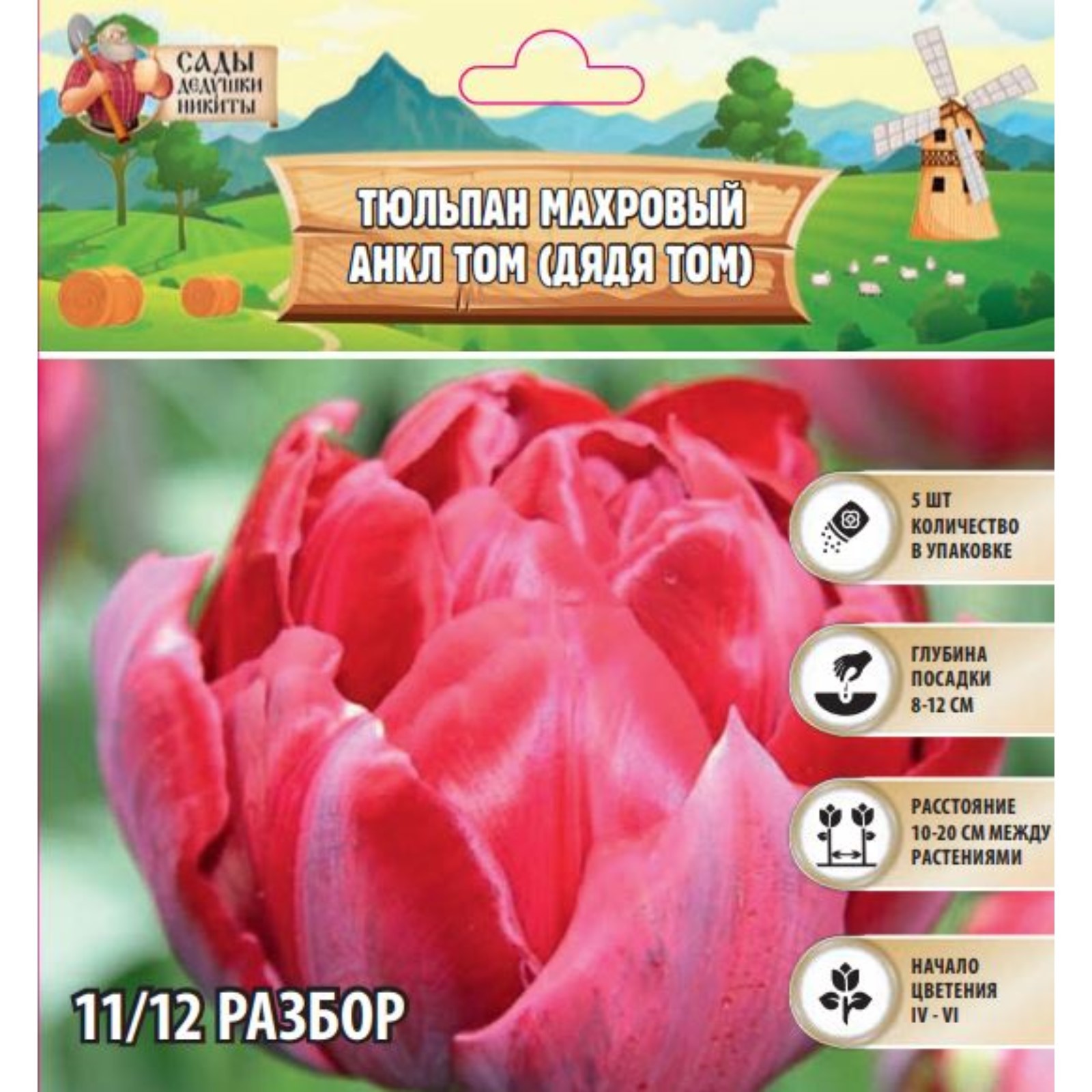Тюльпаны Томск Купить