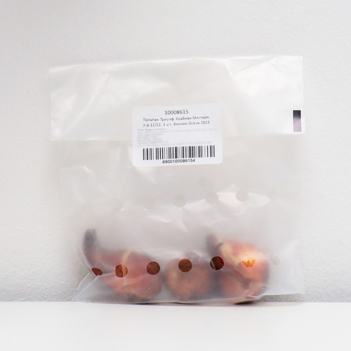 Тюльпан Триумф Арабиан Мистери, р-р 11/12, 3 шт, Эконом, Осень 2023