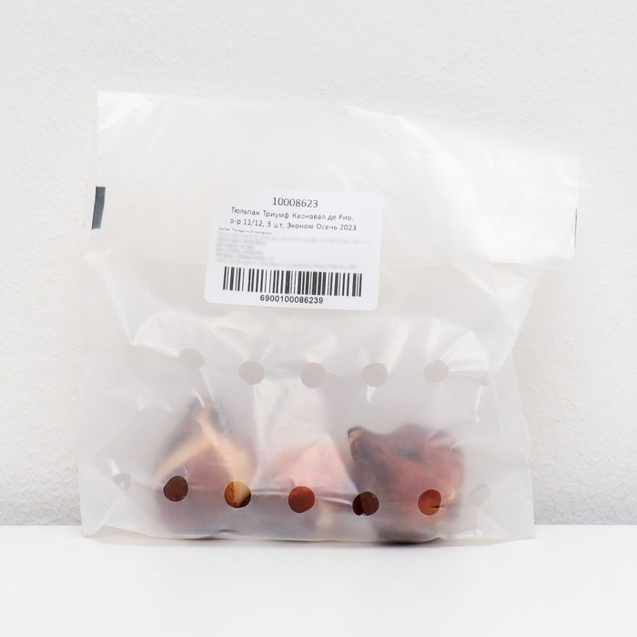 Тюльпан Триумф Карнавал де Рио, р-р 11/12, 3 шт, Эконом, Осень 2023