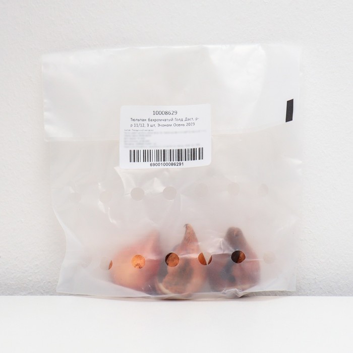 Тюльпан бахромчатый Голд Даст, р-р 11/12, 3 шт, Эконом, Осень 2023