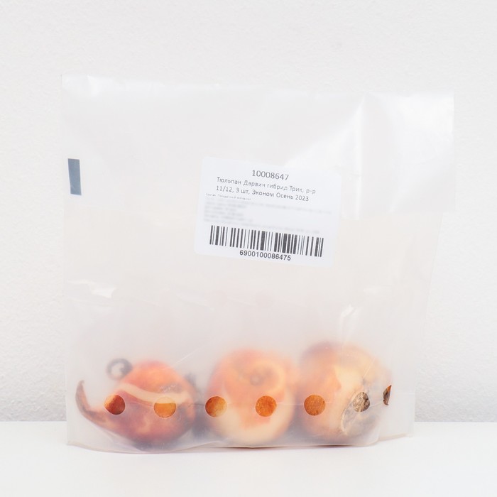 Тюльпан Дарвин гибрид Трик, р-р 11/12, 3 шт, Эконом, Осень 2023