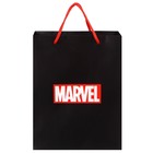 Пакет ламинированный вертикальный, 18 х 23 х 10 см "Marvel", Мстители - фото 9861268