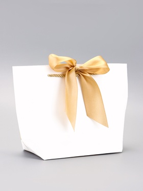 Пакет подарочный ламинированный, с лентой «Белый», горизонтальный, 19?20?9 см (комплект 2 шт)