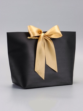 Пакет подарочный ламинированный, с лентой «Чёрный», горизонтальный 19?20?9 см (комплект 2 шт)