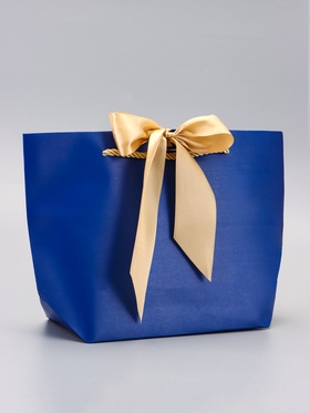 Пакет подарочный ламинированный, с лентой «Синий», горизонтальный 19?20?9 см (комплект 2 шт)