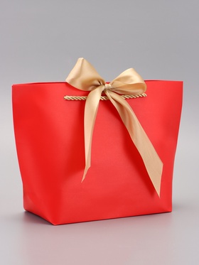 Пакет подарочный ламинированный, с лентой «Красный», горизонтальный, 19?20?9 см (комплект 2 шт)