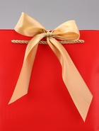 Пакет подарочный ламинированный, с лентой «Красный», горизонтальный, 19?20?9 см (комплект 2 шт) - фото 59794299