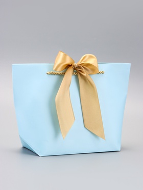 Пакет подарочный ламинированный, с лентой «Голубой», горизонтальный, 19?20?9 см (комплект 2 шт)