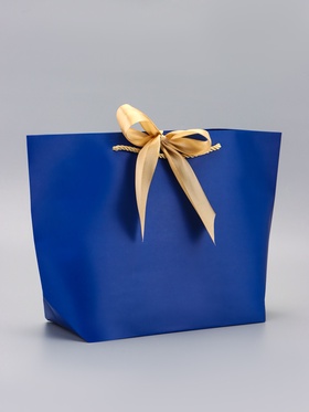 Пакет подарочный ламинированный, с лентой «Синий», горизонтальный, 26?25?11 см (комплект 2 шт)