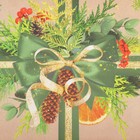 Коробка для кондитерских изделий с PVC крышкой «Мандарины и хвоя», 10.5 х 21 х 3 см, Новый год (комплект 5 шт) - фото 22515218