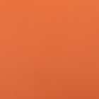 Пленка для цветов тонированная, матовая, морковная, 56х 56см, 65 мкм - Фото 3