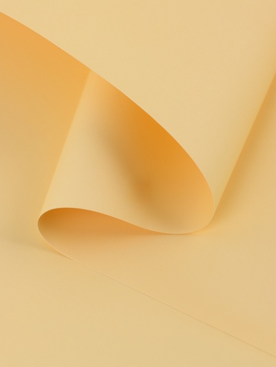 Пленка для цветов тонированная, матовая, шампань, 57×57 см ±5% см, 65 мкм